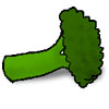 [The Best Broccoli Floret I've Ever Drawn]