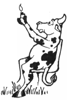 A Cow